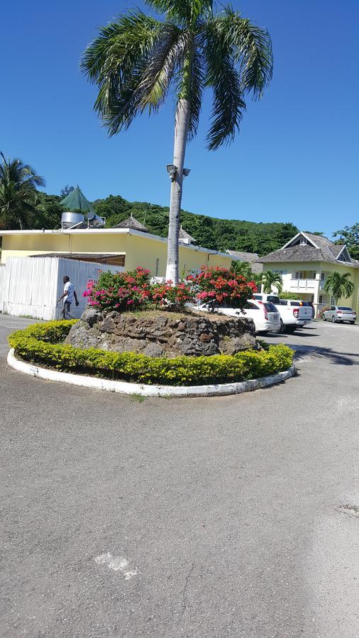 Studio19 At Mystic Ridge Apartment Ocho Rios Exterior photo